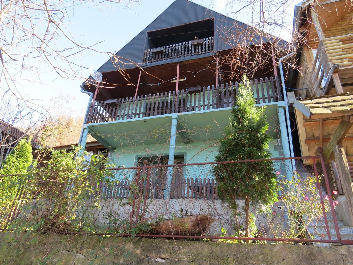Chalet Ljubicine Kolibe Golubinje 外观 照片